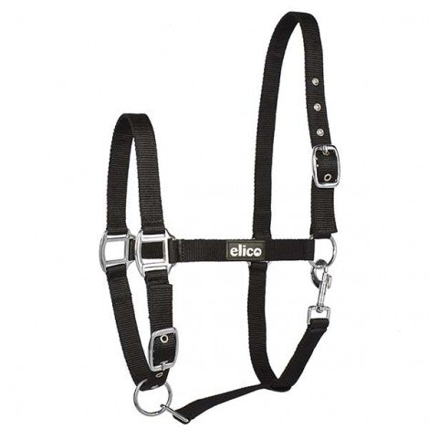 Elico Kendal Headcollar