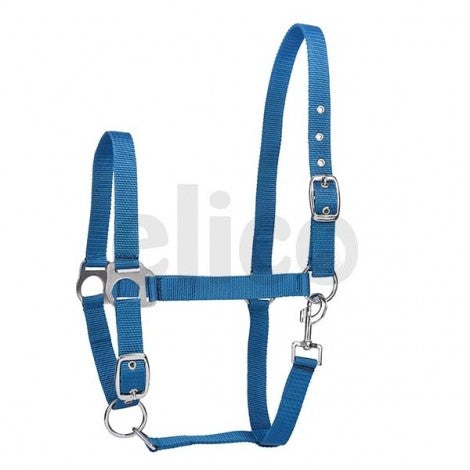 Elico Kendal Headcollar