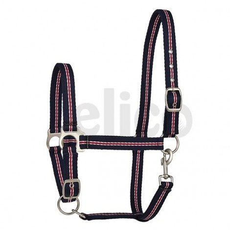 Elico Windermere Headcollar