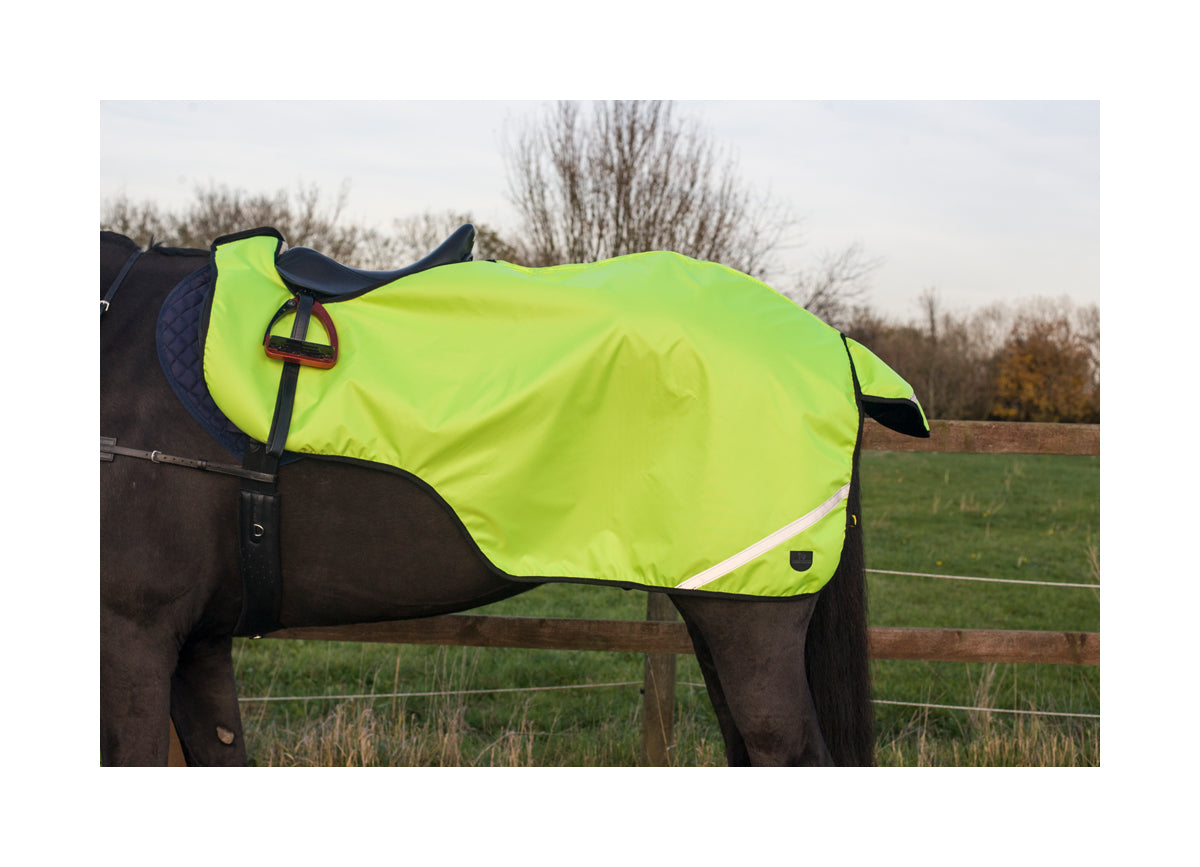 Cameo Equine Hi - Viz Exercise Sheet