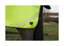 Load image into Gallery viewer, Cameo Equine Hi - Viz Exercise Sheet
