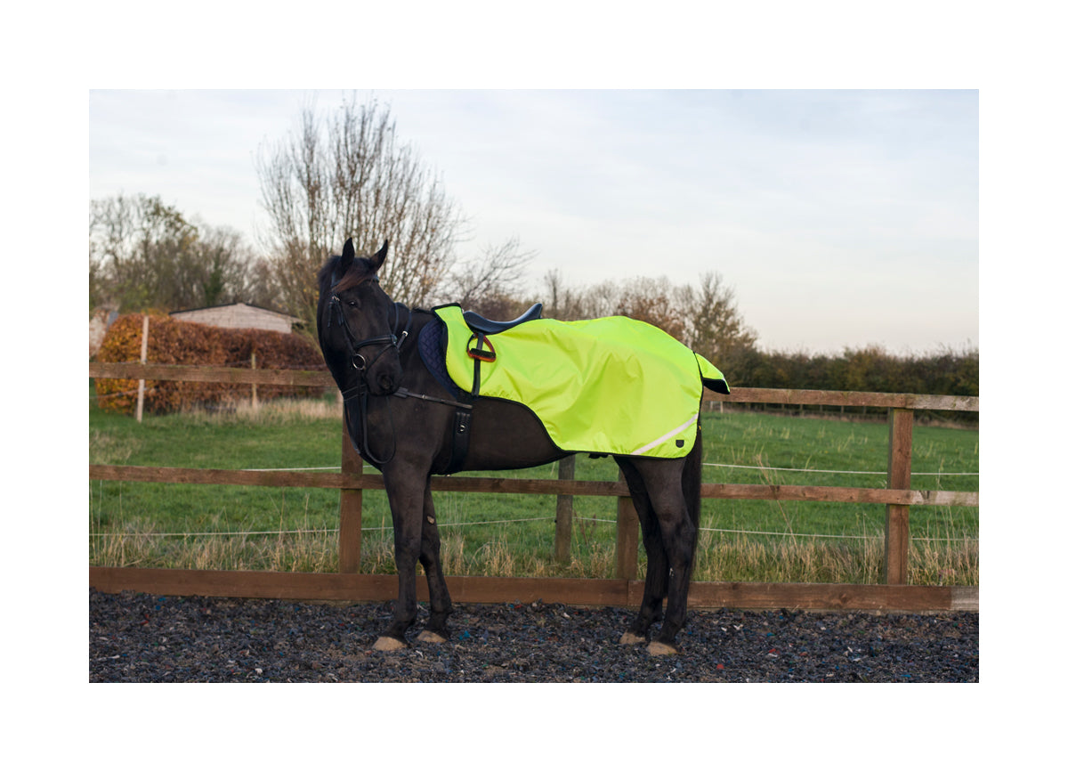 Cameo Equine Hi - Viz Exercise Sheet