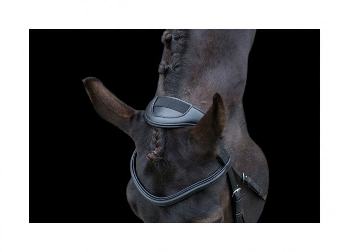 EcoRider Ecosoft Enigma Bridle