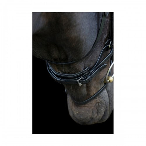 EcoRider Ecosoft Enigma Bridle