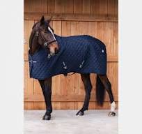 Load image into Gallery viewer, Harcour Romance Horse Rug
