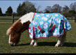 Rhinegold Unicorn Mini Torrent Outdoor Rug