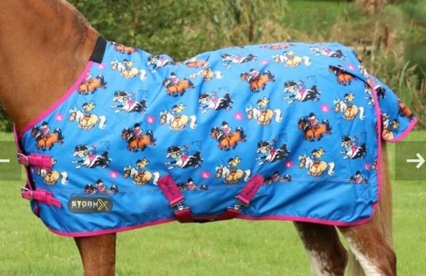 StormX Original Thelwell Collection Turnout Rug 50g